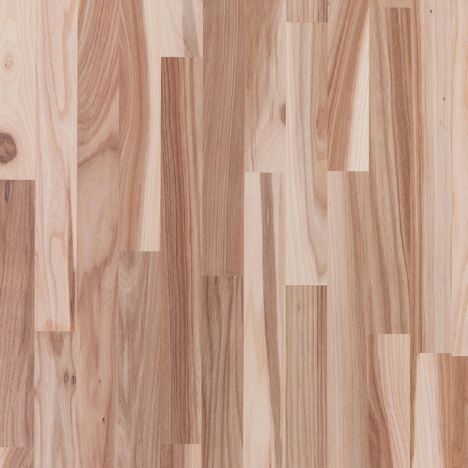 Elm Edge-Glued Solid Wood Panel, Finger Jointed, Thickness 0.75″/19mm, Grade 1