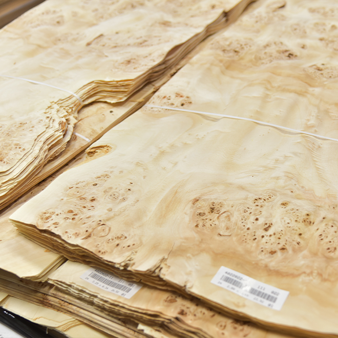 Black Poplar Burl Veneer ABC/log grade, from 0,60mm / 0.023"